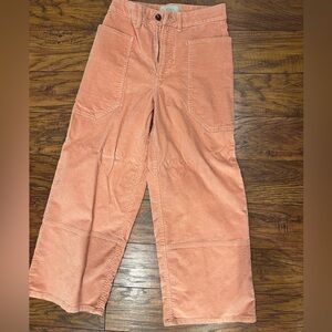 Everlane Gardner Corduroy Pants in Coral